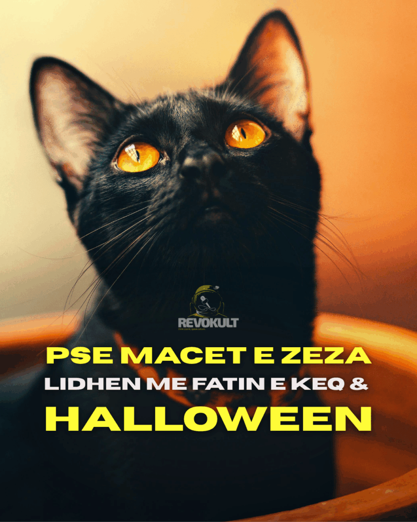 Pse macet e zeza lidhen me Halloween-in dhe fatin e keq
