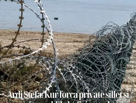 sdfbsdfdrfer Ardi Stefa: Kur forca private sillet si autoritet publik, kufiri mes shtetit dhe xhunglës fillon të zhduket