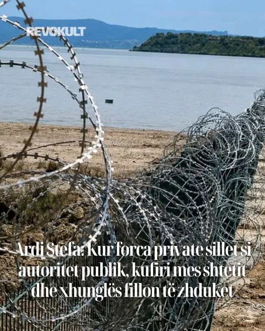 sdfbsdfdrfer Ardi Stefa: Kur forca private sillet si autoritet publik, kufiri mes shtetit dhe xhunglës fillon të zhduket